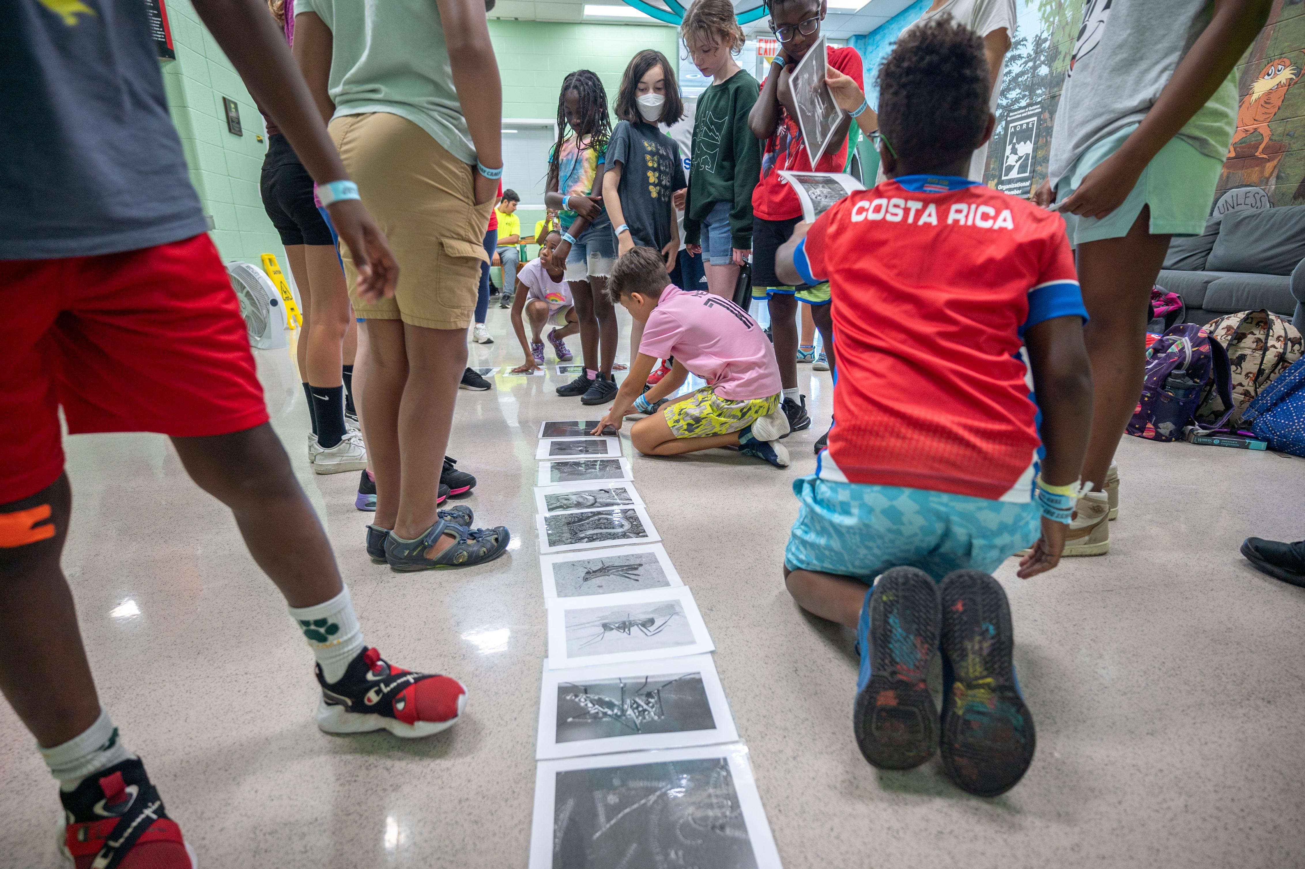 Environmental education session with campers